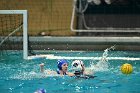 WWPolo vs CC  Wheaton College Women’s Water Polo compete in their sports inaugural match vs Connecticut College. - Photo By: KEITH NORDSTROM : Wheaton, water polo, inaugural